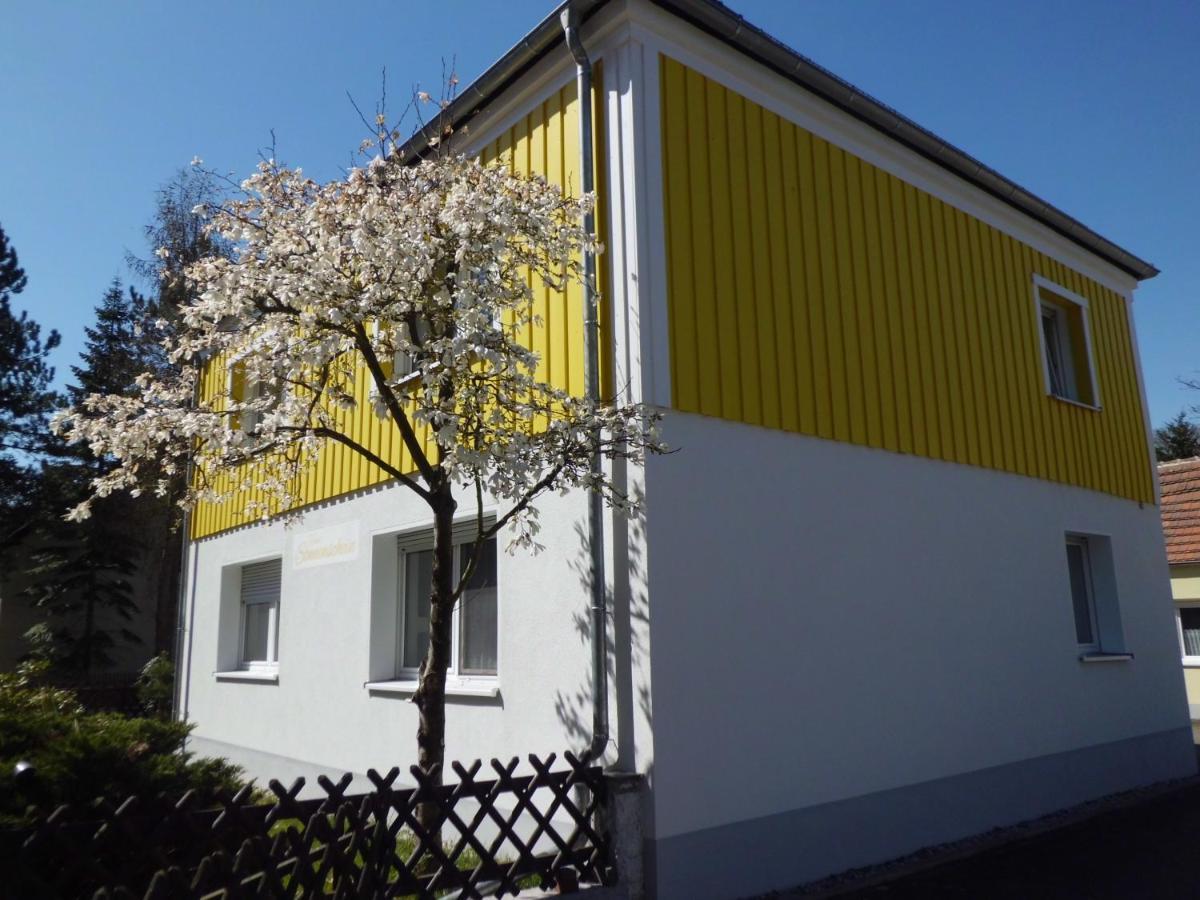 Ferienwohnung Im Haus Sonnenschein Beim Senftenberger See Hosena Exterior photo